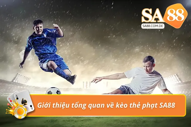 Tổng quan về SA88