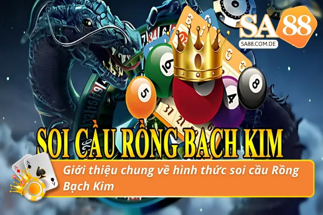 Giới thiệu chung về hình thức bắt cầu Rồng Bạch Kim