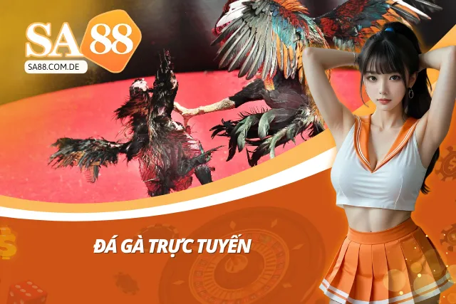 Khám phá sảnh đá gà trực tuyến
